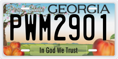 GA license plate PWM2901