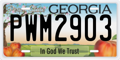 GA license plate PWM2903