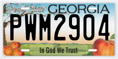 GA license plate PWM2904
