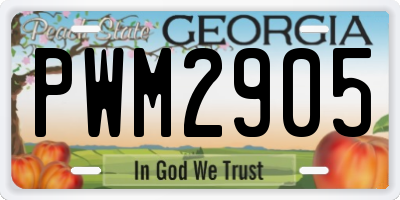 GA license plate PWM2905