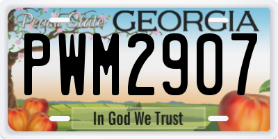 GA license plate PWM2907