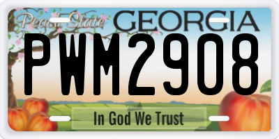GA license plate PWM2908