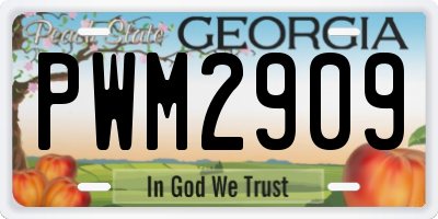 GA license plate PWM2909