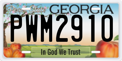 GA license plate PWM2910