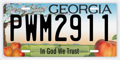 GA license plate PWM2911