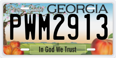 GA license plate PWM2913