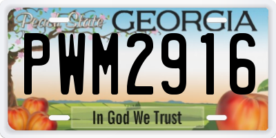 GA license plate PWM2916