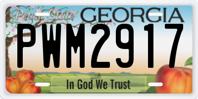 GA license plate PWM2917
