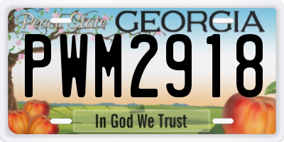 GA license plate PWM2918