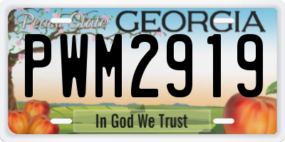 GA license plate PWM2919
