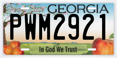 GA license plate PWM2921