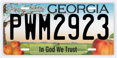 GA license plate PWM2923