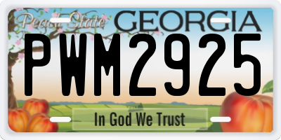 GA license plate PWM2925
