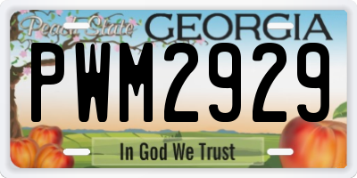 GA license plate PWM2929
