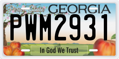 GA license plate PWM2931