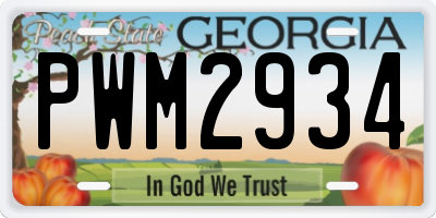 GA license plate PWM2934