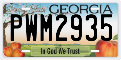 GA license plate PWM2935