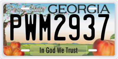GA license plate PWM2937