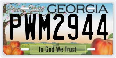 GA license plate PWM2944