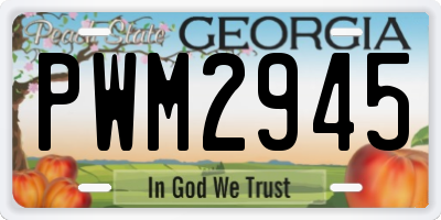GA license plate PWM2945