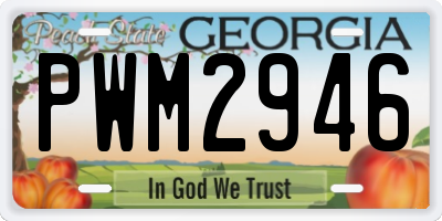GA license plate PWM2946