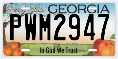 GA license plate PWM2947