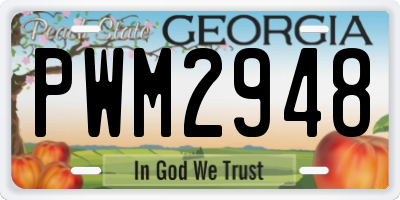 GA license plate PWM2948