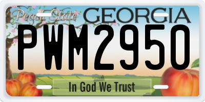 GA license plate PWM2950