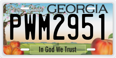 GA license plate PWM2951