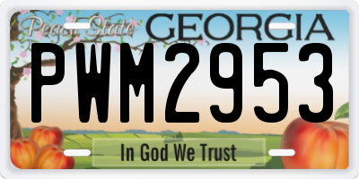GA license plate PWM2953