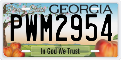 GA license plate PWM2954