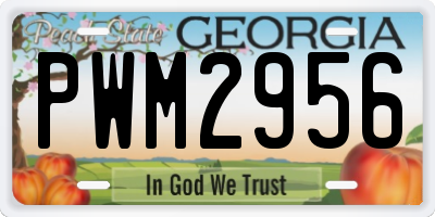 GA license plate PWM2956