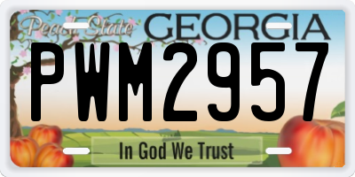 GA license plate PWM2957
