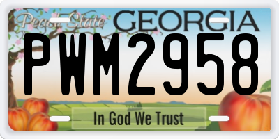 GA license plate PWM2958