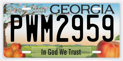 GA license plate PWM2959