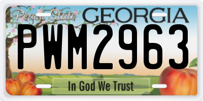 GA license plate PWM2963