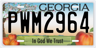 GA license plate PWM2964