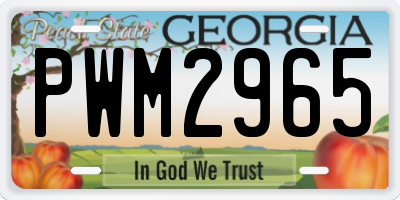 GA license plate PWM2965