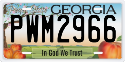 GA license plate PWM2966