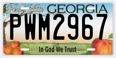 GA license plate PWM2967