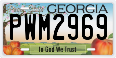 GA license plate PWM2969