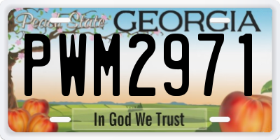 GA license plate PWM2971