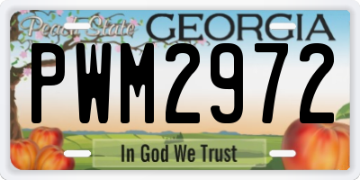 GA license plate PWM2972