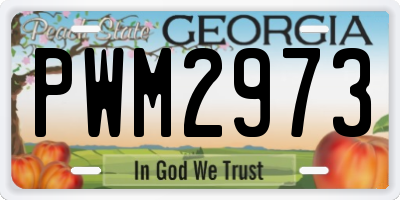 GA license plate PWM2973