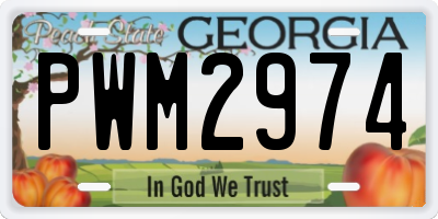 GA license plate PWM2974