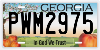 GA license plate PWM2975