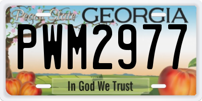 GA license plate PWM2977