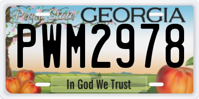 GA license plate PWM2978