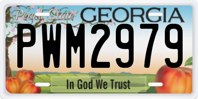 GA license plate PWM2979