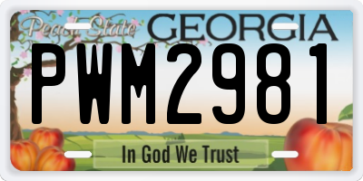 GA license plate PWM2981